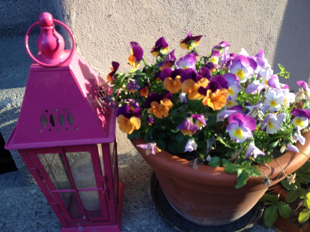 B&B La Vie En Rose Basel Exteriör bild