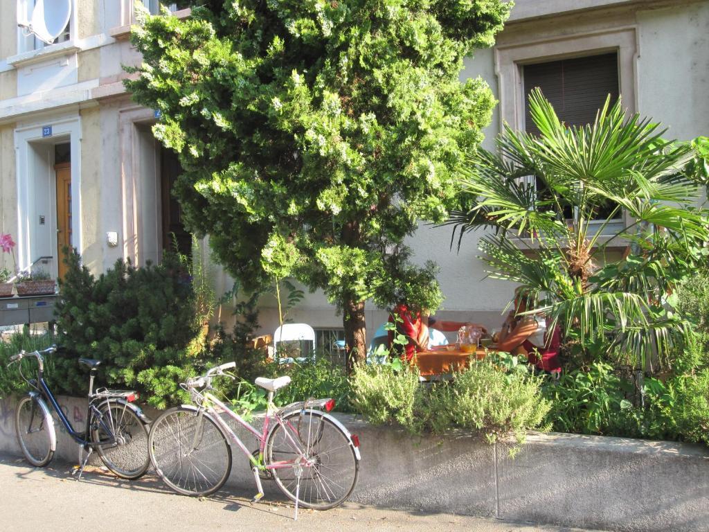 B&B La Vie En Rose Basel Exteriör bild